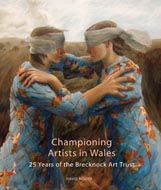 Championing Artists in Wales cover